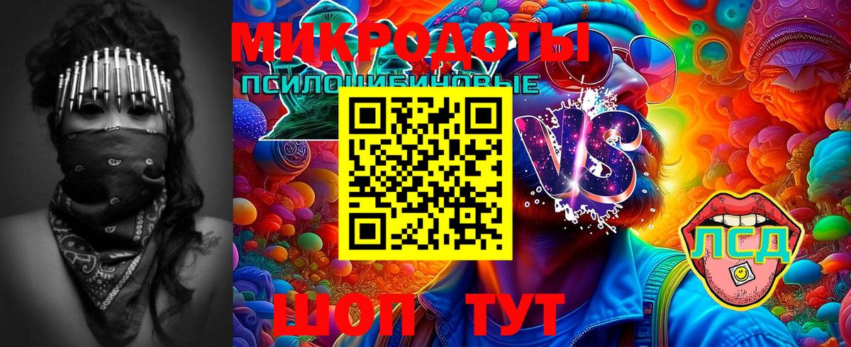 Псилоцибиновые грибы мухоморы Сосновый Бор