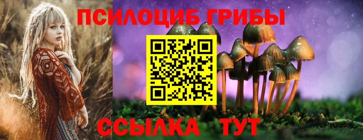 Сосновый Бор  Псилоцибиновые грибы мухоморы  Вход с VPN 