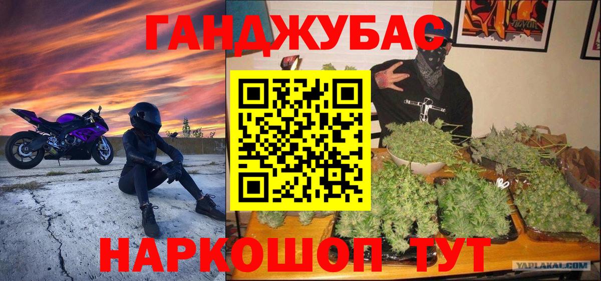 Конопля сатива Сосновый Бор